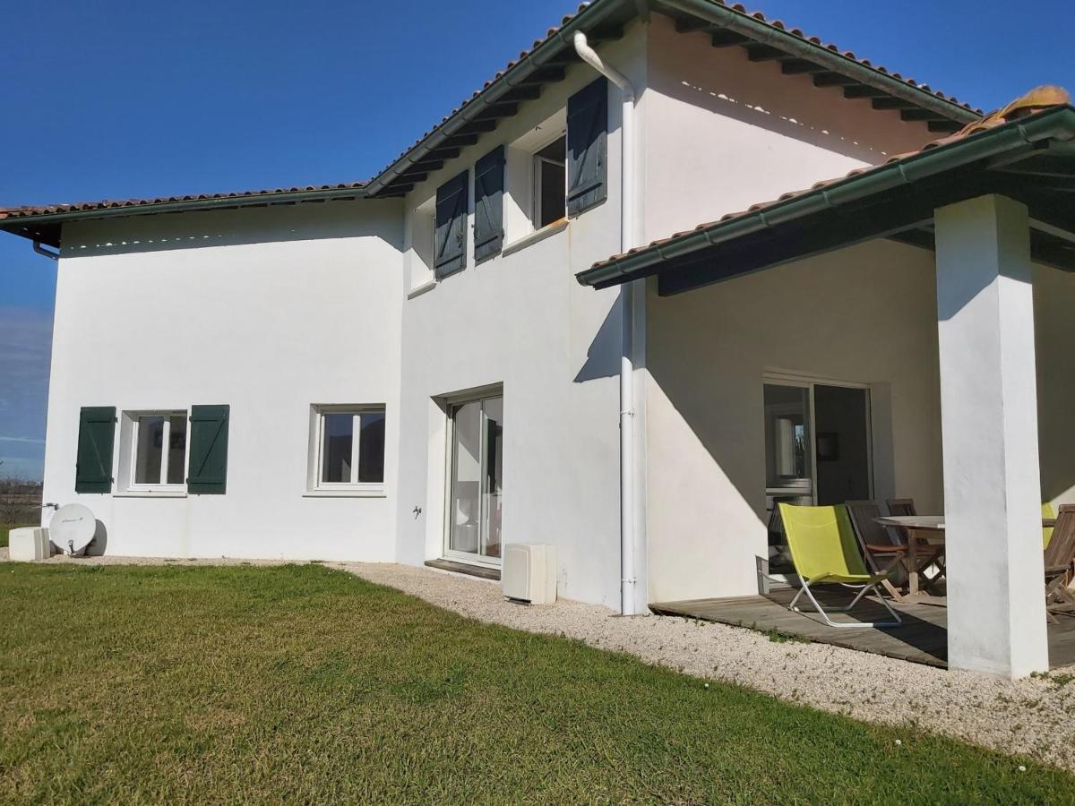 Appartement 3*** Avec Jardin Et Wifi A Proximite De Saint Jean De Luz - Fr-1-239-504 Ascain Εξωτερικό φωτογραφία